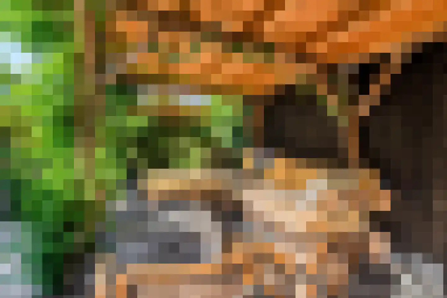 Van Leeuwenhoeklaan 16 Vlijmen thumbnail 41