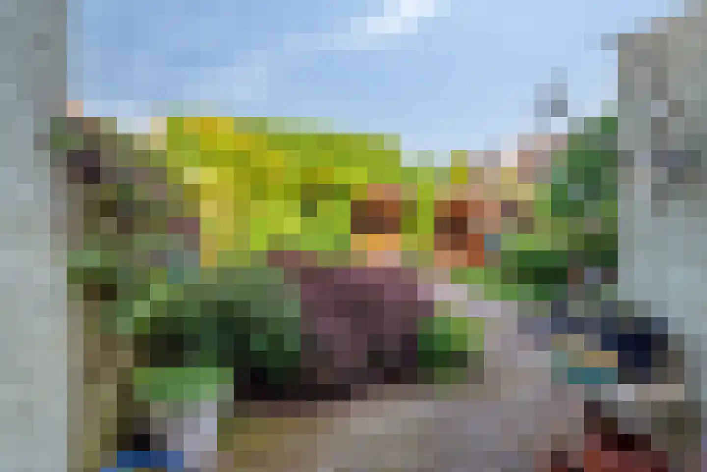 Van Leeuwenhoeklaan 16 Vlijmen thumbnail 44