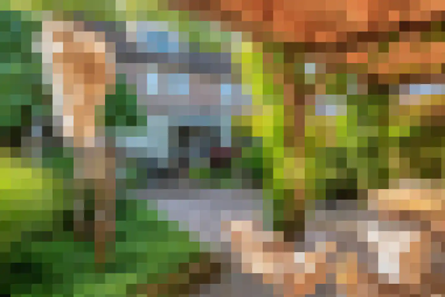 Van Leeuwenhoeklaan 16 Vlijmen thumbnail 45