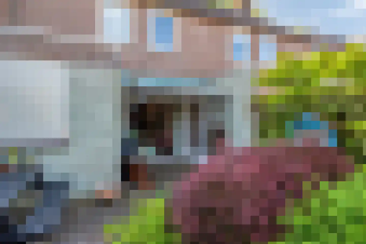 Van Leeuwenhoeklaan 16 Vlijmen thumbnail 47