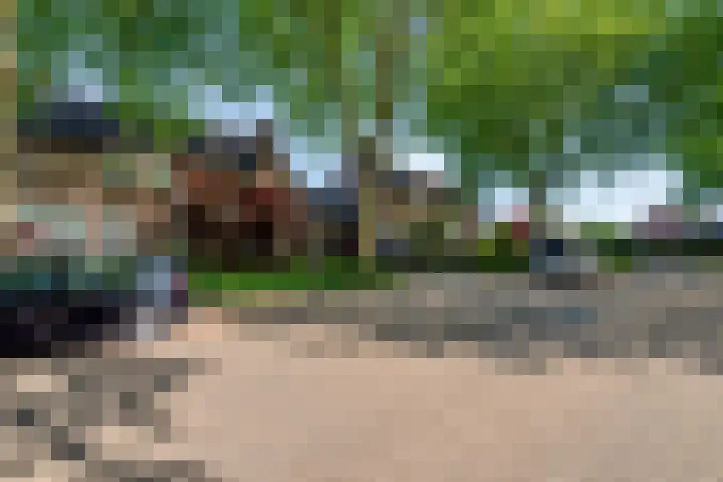 Van Leeuwenhoeklaan 16 Vlijmen thumbnail 49