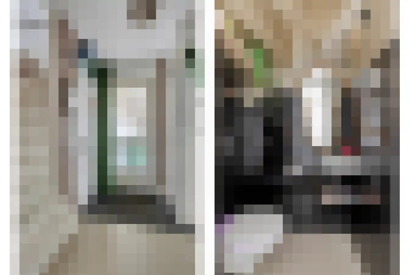 Van Leeuwenhoeklaan 16 Vlijmen thumbnail 6