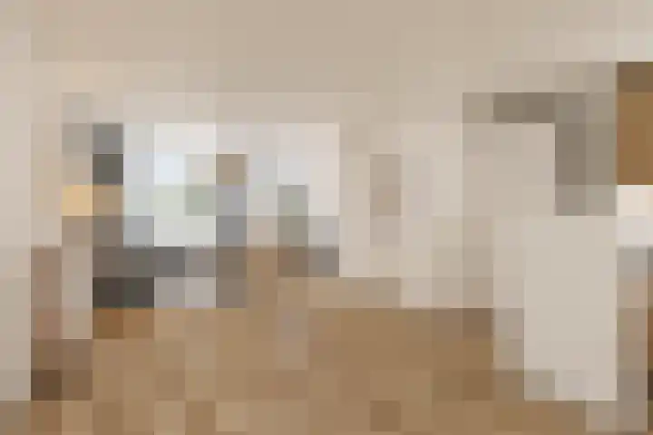Van Leeuwenhoeklaan 18 Roosendaal thumbnail 10