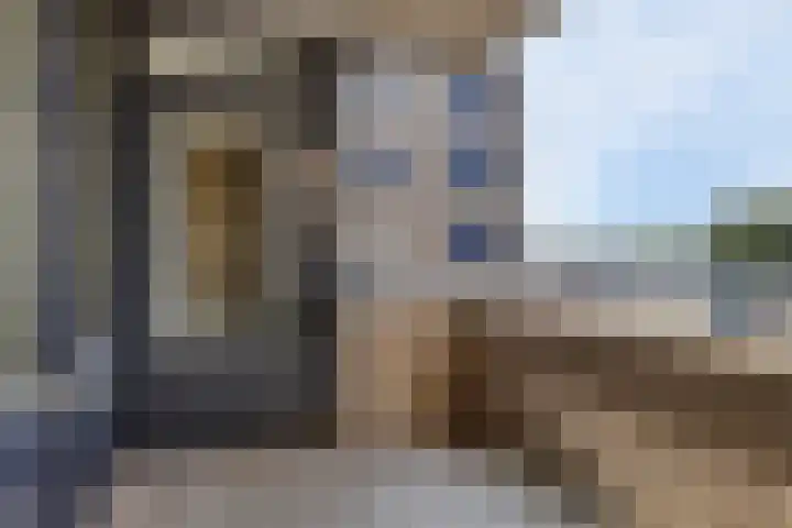 Van Leeuwenhoeklaan 18 Roosendaal thumbnail 13