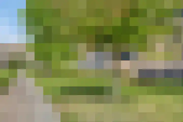 Van Leeuwenhoeklaan 18 Roosendaal thumbnail 31