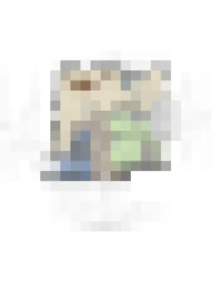 Van Leeuwenhoeklaan 18 Roosendaal thumbnail 33