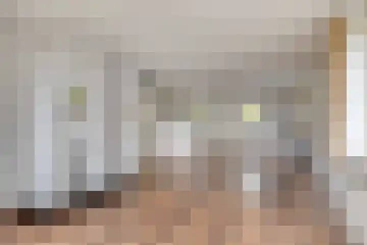Van Leeuwenhoeklaan 18 Roosendaal thumbnail 9