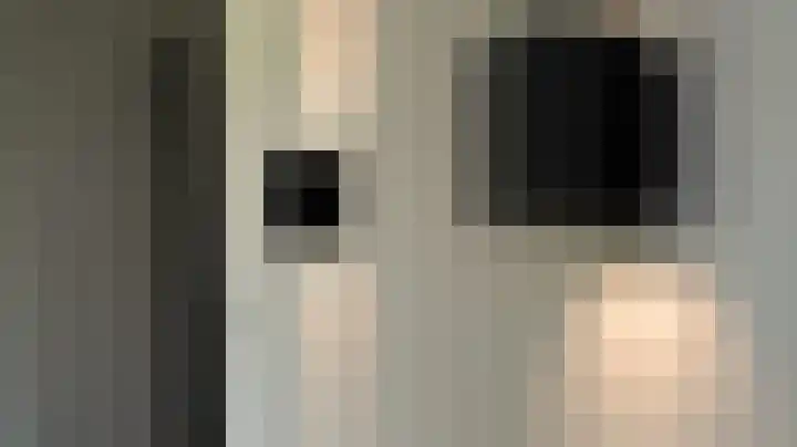 Van Leeuwenhoeklaan 21 Almelo thumbnail 10