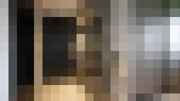 Van Leeuwenhoeklaan 21 Almelo thumbnail 13