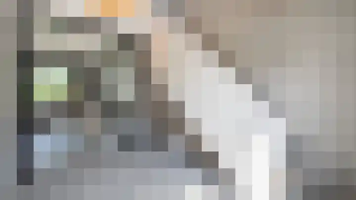 Van Leeuwenhoeklaan 21 Almelo thumbnail 16