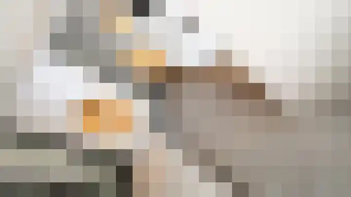 Van Leeuwenhoeklaan 21 Almelo thumbnail 17
