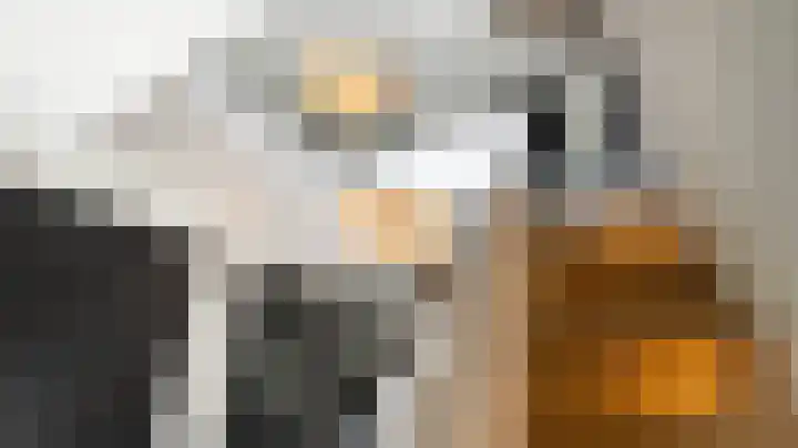 Van Leeuwenhoeklaan 21 Almelo thumbnail 18