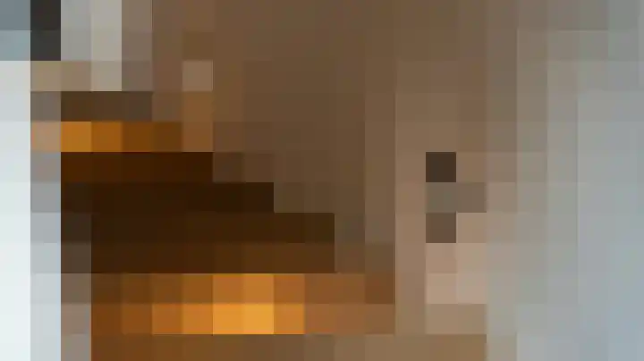 Van Leeuwenhoeklaan 21 Almelo thumbnail 20
