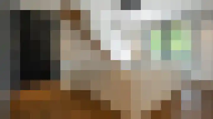 Van Leeuwenhoeklaan 21 Almelo thumbnail 22