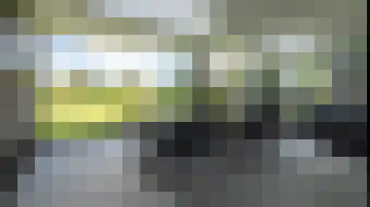 Van Leeuwenhoeklaan 21 Almelo thumbnail 41