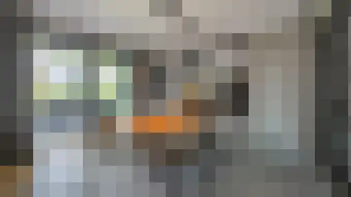 Van Leeuwenhoeklaan 21 Almelo thumbnail 5
