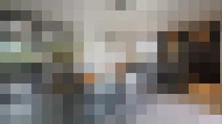 Van Leeuwenhoeklaan 21 Almelo thumbnail 7