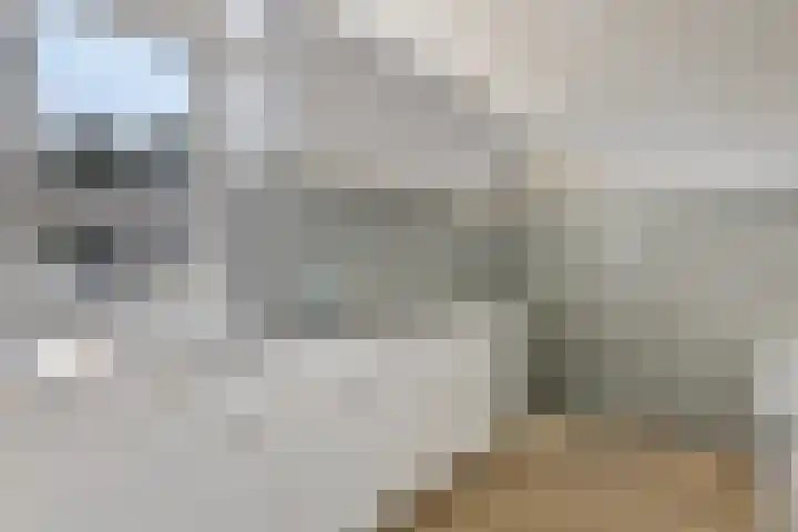 van Leeuwenhoeklaan 21 Doetinchem thumbnail 13
