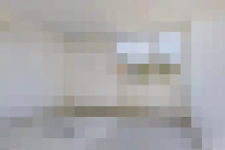 van Leeuwenhoeklaan 21 Doetinchem thumbnail 22
