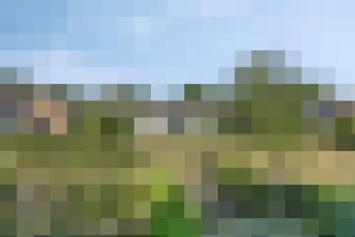 van Leeuwenhoeklaan 21 Doetinchem thumbnail 27