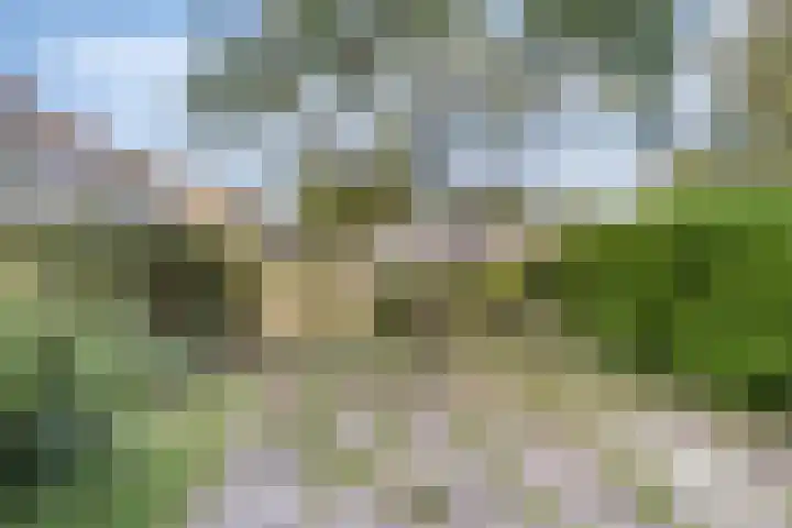 van Leeuwenhoeklaan 21 Doetinchem thumbnail 33
