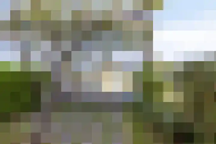 van Leeuwenhoeklaan 21 Doetinchem thumbnail 34