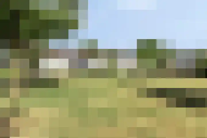 van Leeuwenhoeklaan 21 Doetinchem thumbnail 36
