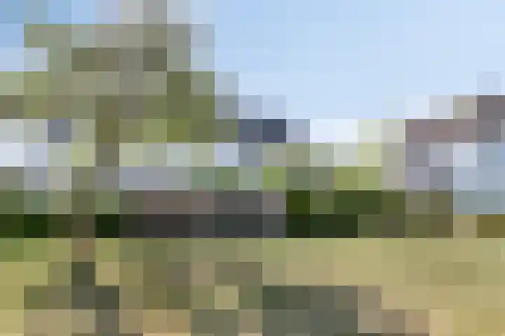 van Leeuwenhoeklaan 21 Doetinchem thumbnail 37