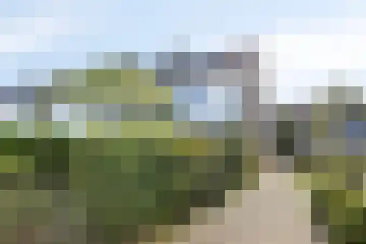 van Leeuwenhoeklaan 21 Doetinchem thumbnail 38