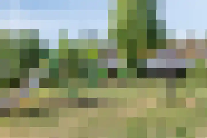 van Leeuwenhoeklaan 21 Doetinchem thumbnail 39