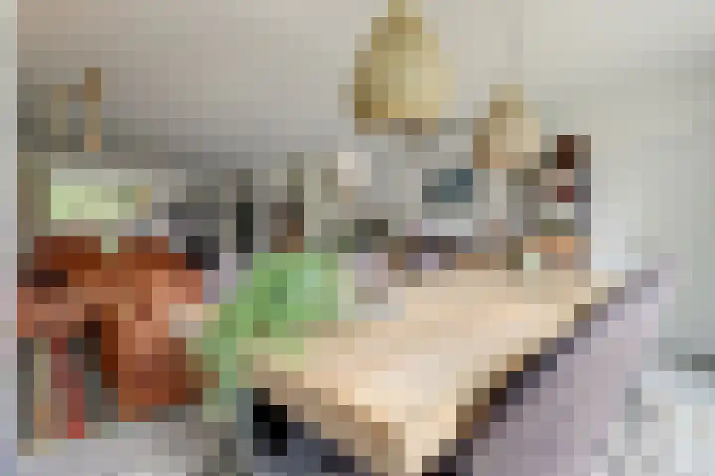 Van Leeuwenhoeklaan 25 Vlijmen thumbnail 11