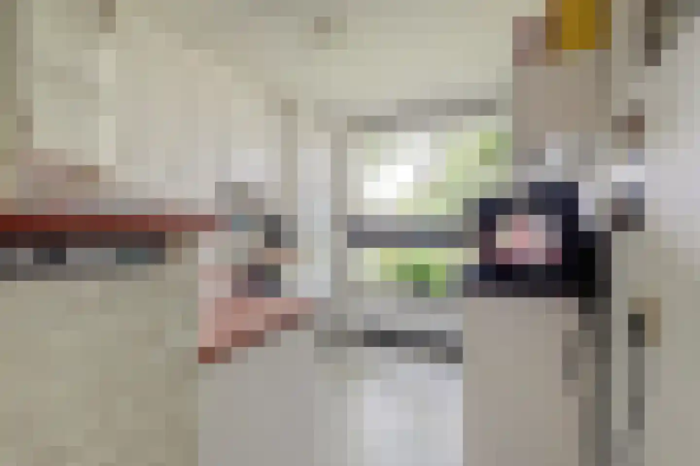 Van Leeuwenhoeklaan 25 Vlijmen thumbnail 12