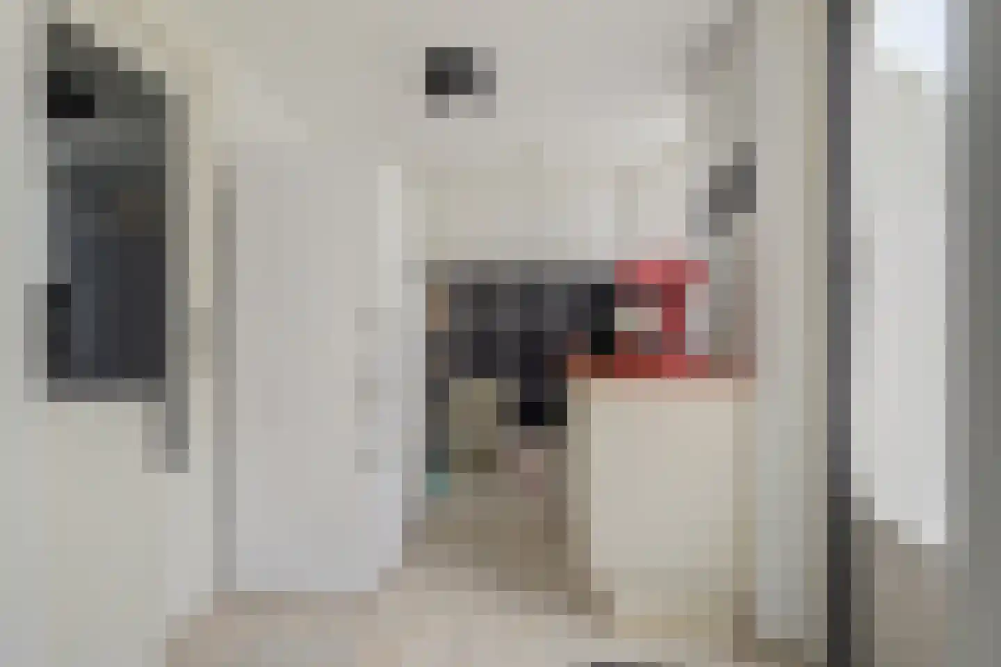 Van Leeuwenhoeklaan 25 Vlijmen thumbnail 15