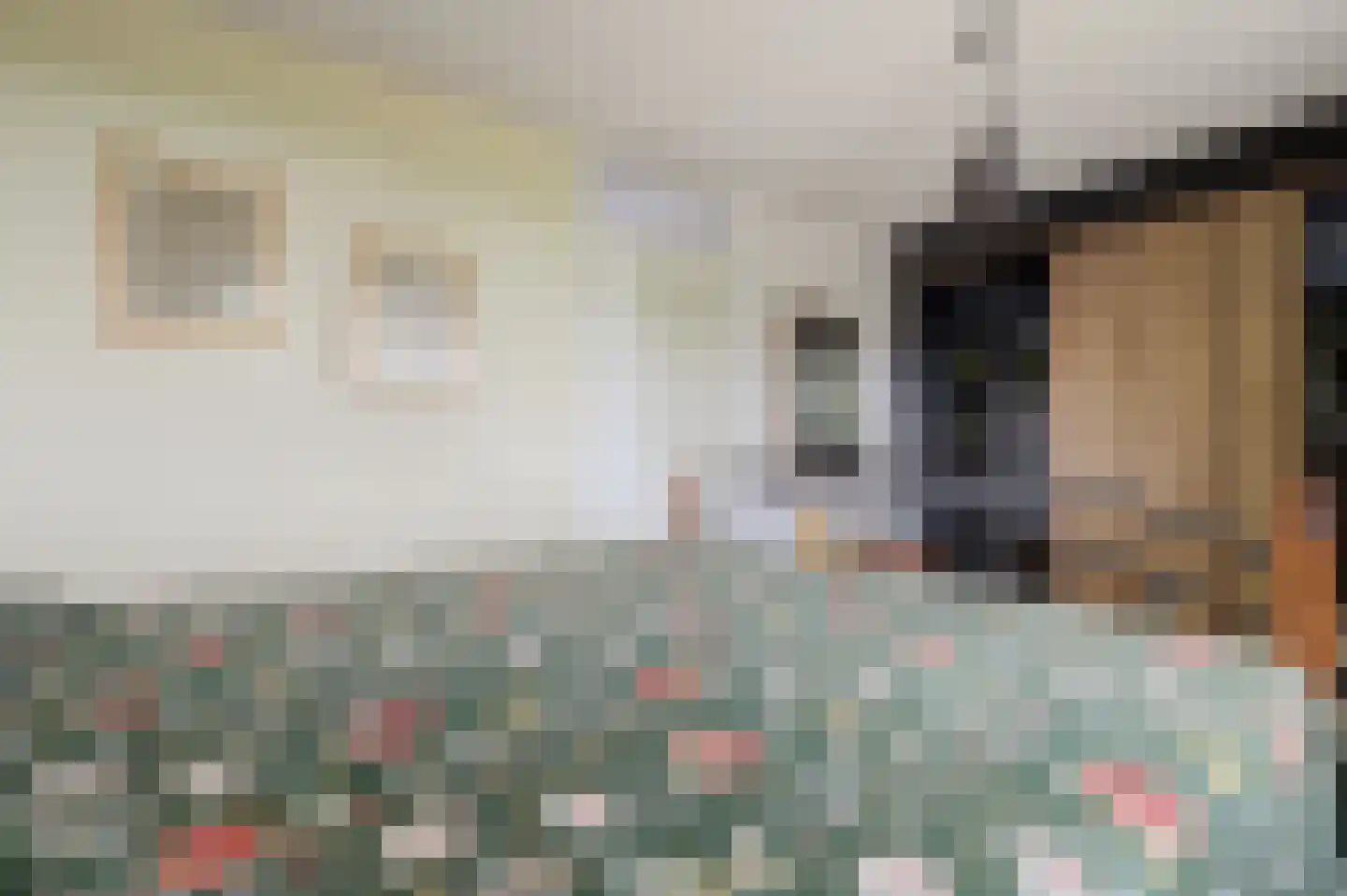 Van Leeuwenhoeklaan 25 Vlijmen thumbnail 19