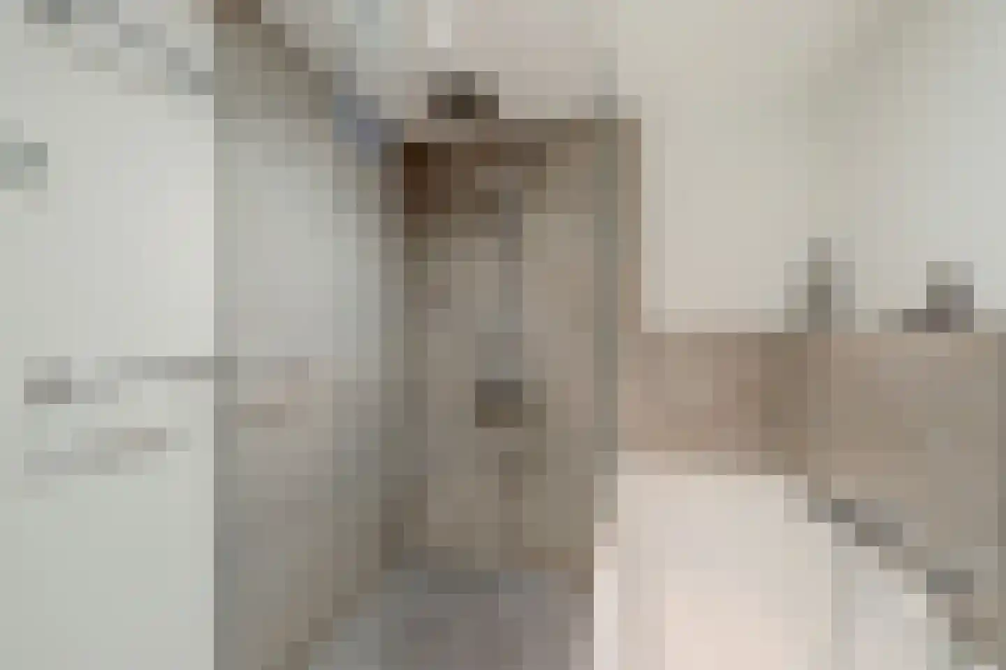 Van Leeuwenhoeklaan 25 Vlijmen thumbnail 24