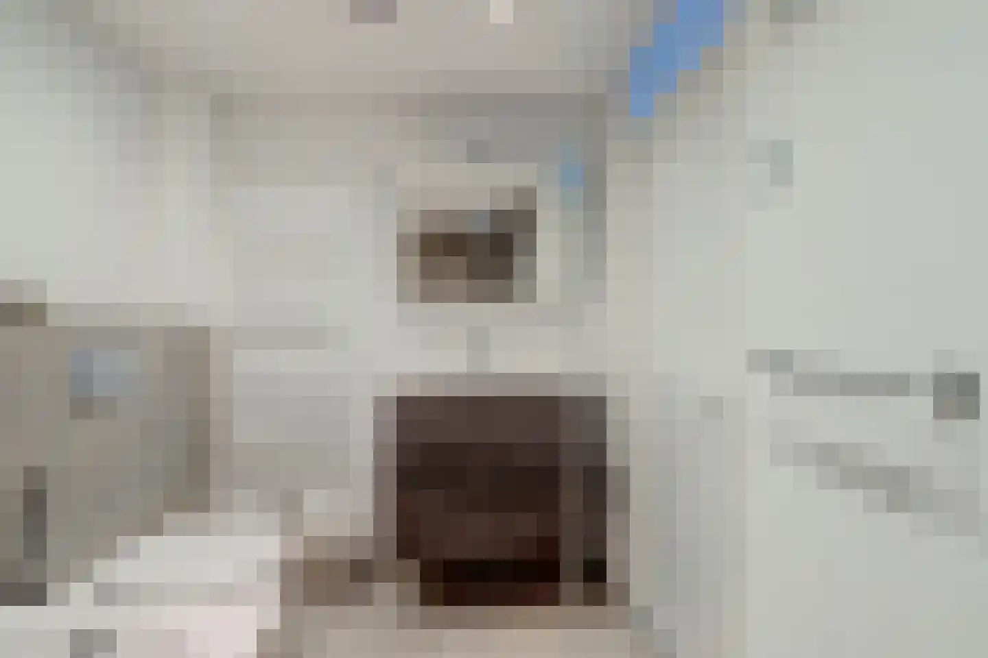 Van Leeuwenhoeklaan 25 Vlijmen thumbnail 25