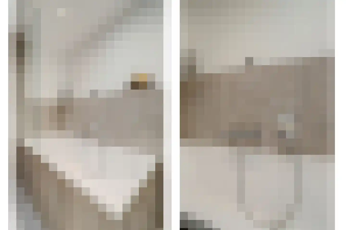 Van Leeuwenhoeklaan 25 Vlijmen thumbnail 27