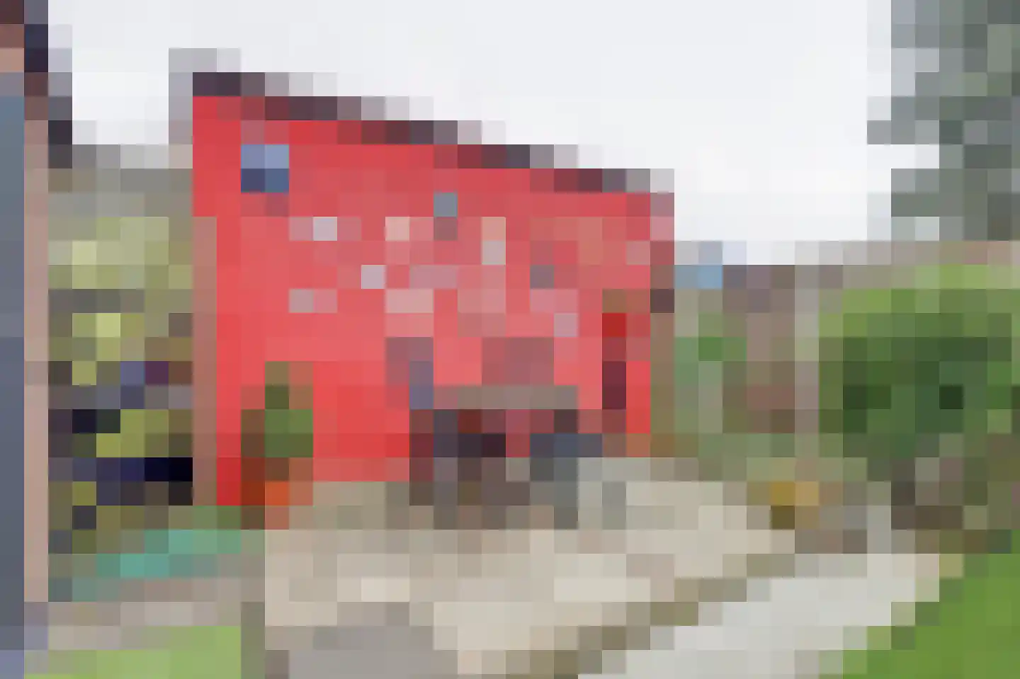 Van Leeuwenhoeklaan 25 Vlijmen thumbnail 37
