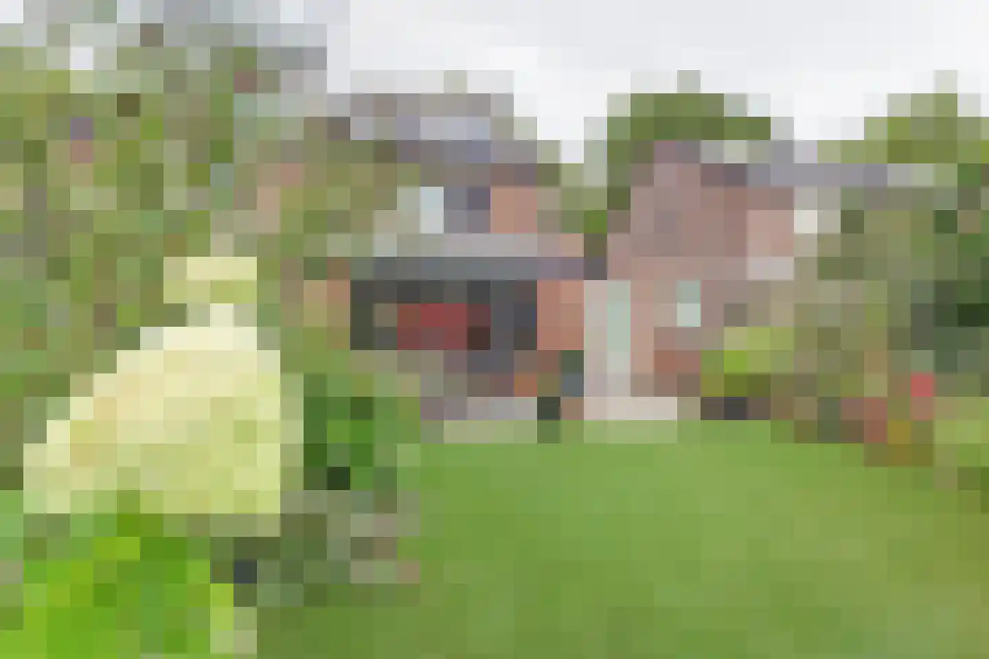 Van Leeuwenhoeklaan 25 Vlijmen thumbnail 39
