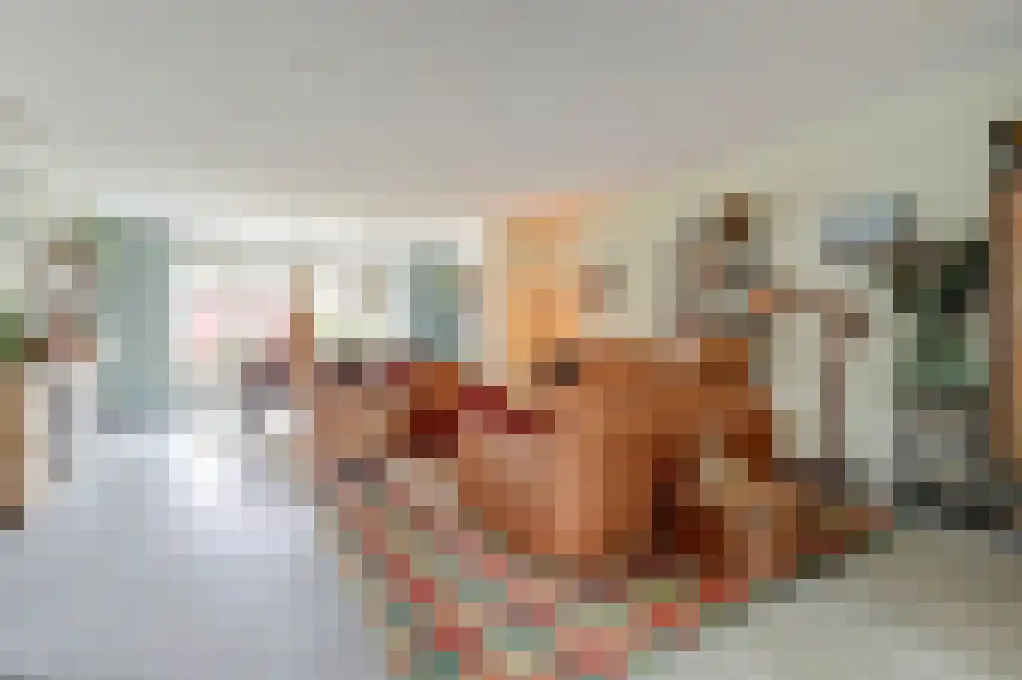 Van Leeuwenhoeklaan 25 Vlijmen thumbnail 4