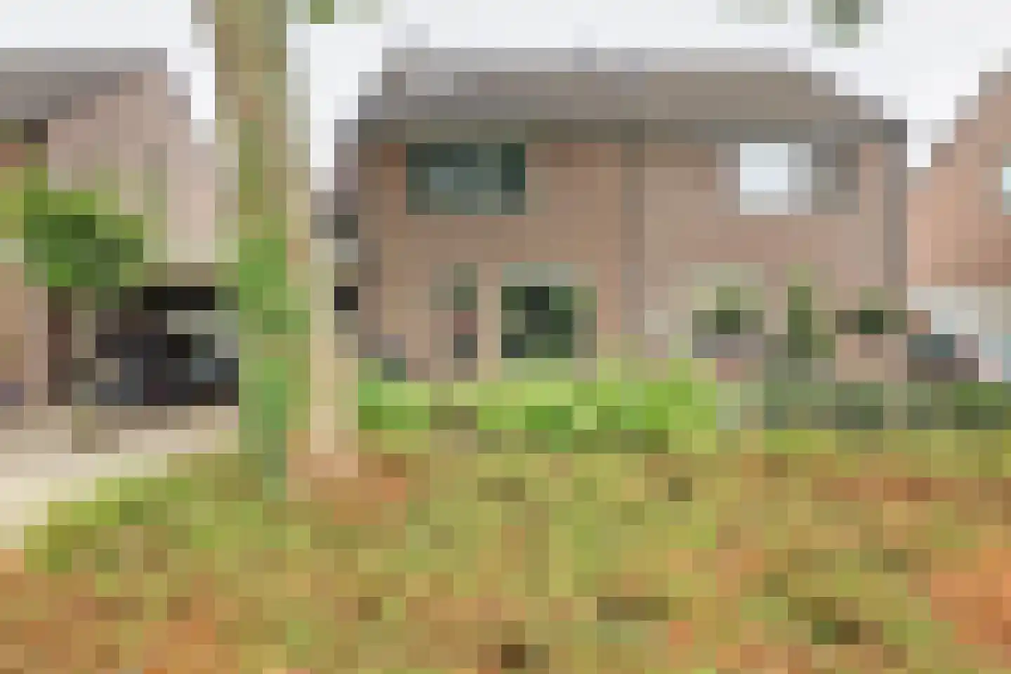 Van Leeuwenhoeklaan 25 Vlijmen thumbnail 43
