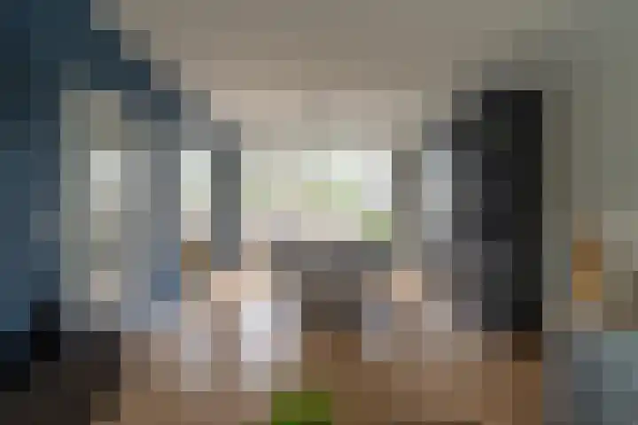 Van Leeuwenhoeklaan 27 Oosterhout thumbnail 10