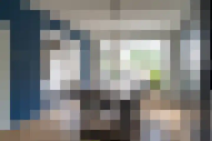 Van Leeuwenhoeklaan 27 Oosterhout thumbnail 11