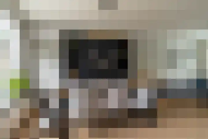 Van Leeuwenhoeklaan 27 Oosterhout thumbnail 12