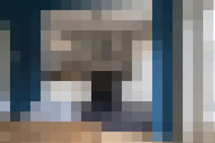 Van Leeuwenhoeklaan 27 Oosterhout thumbnail 13