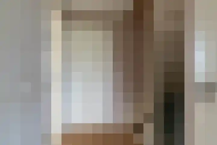 Van Leeuwenhoeklaan 27 Oosterhout thumbnail 15