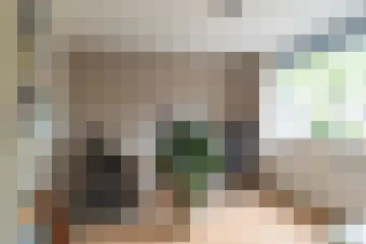 Van Leeuwenhoeklaan 27 Oosterhout thumbnail 19