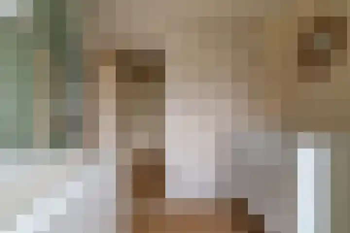 Van Leeuwenhoeklaan 27 Oosterhout thumbnail 22