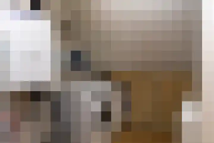 Van Leeuwenhoeklaan 27 Oosterhout thumbnail 25