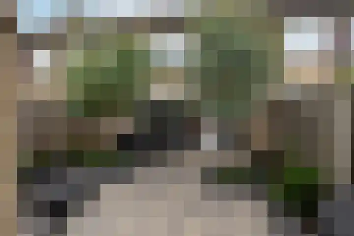 Van Leeuwenhoeklaan 27 Oosterhout thumbnail 29